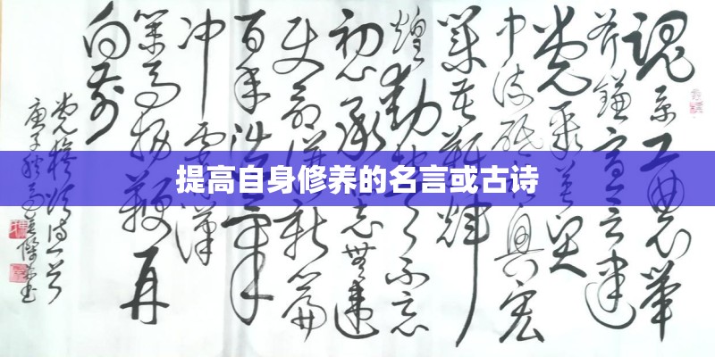 提高自身修养的名言或古诗