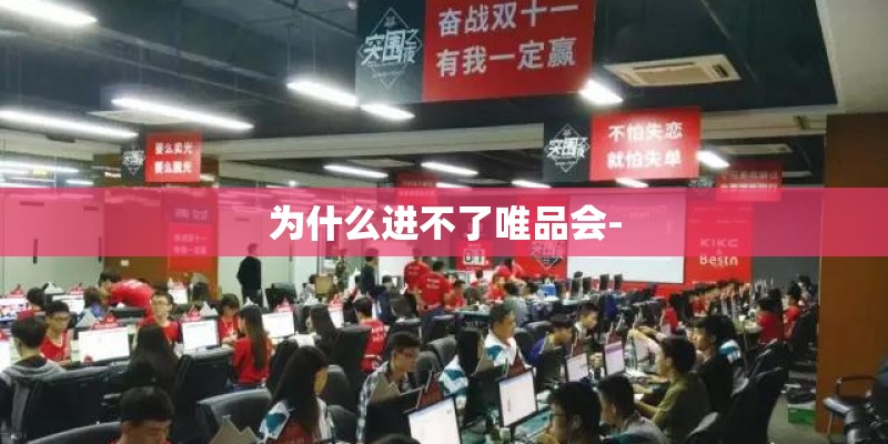 为什么进不了唯品会-