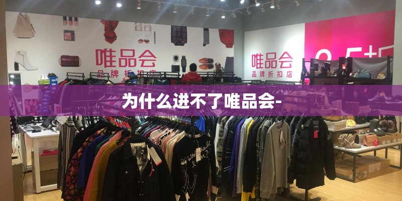 为什么进不了唯品会-