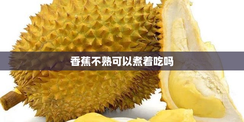 香蕉不熟可以煮着吃吗 香蕉不熟可以煮着吃吗