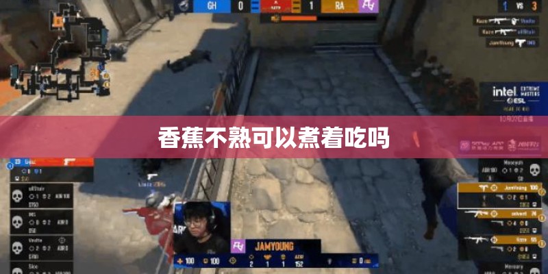 香蕉不熟可以煮着吃吗 香蕉不熟可以煮着吃吗