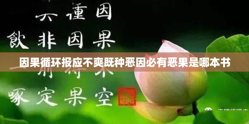 因果循环报应不爽既种恶因必有恶果是哪本书