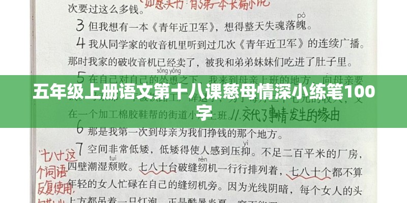 五年级上册语文第十八课慈母情深小练笔100字