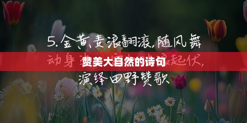 赞美大自然的诗句
