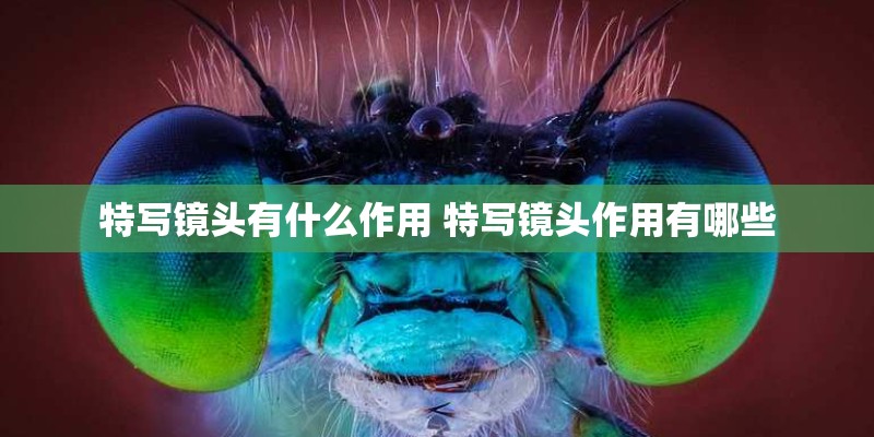 特写镜头有什么作用 特写镜头作用有哪些