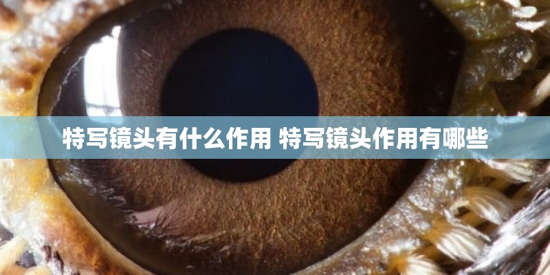 特写镜头有什么作用 特写镜头作用有哪些