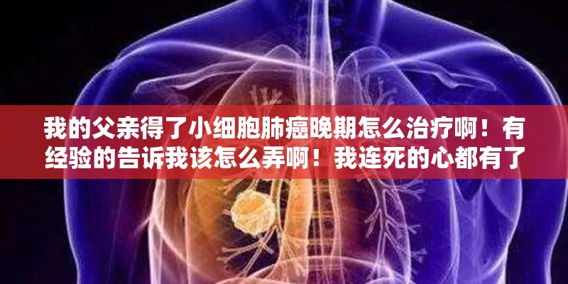 我的父亲得了小细胞肺癌晚期怎么治疗啊！有经验的告诉我该怎么弄啊！我连死的心都有了