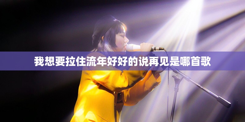 我想要拉住流年好好的说再见是哪首歌