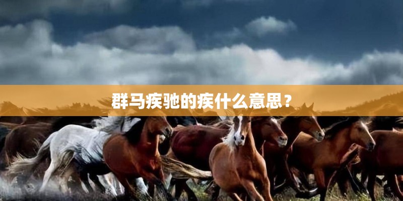 群马疾驰的疾什么意思？
