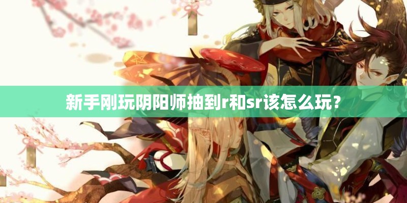 新手刚玩阴阳师抽到r和sr该怎么玩？