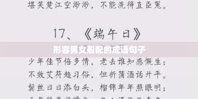 形容男女般配的成语句子