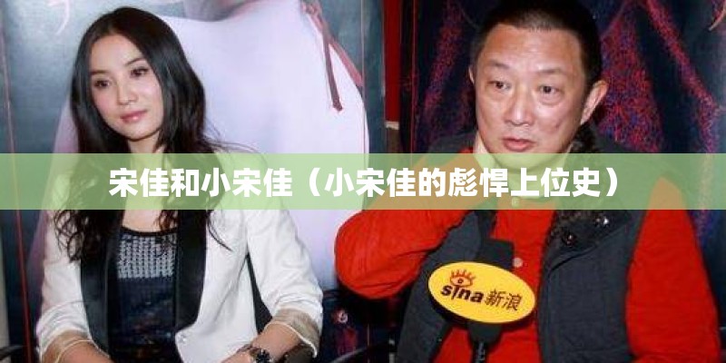 宋佳和小宋佳（小宋佳的彪悍上位史）