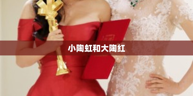 小陶虹和大陶红
