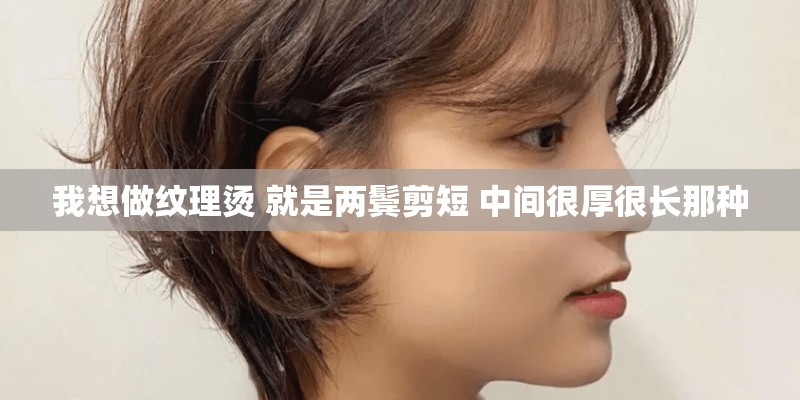 我想做纹理烫 就是两鬓剪短 中间很厚很长那种