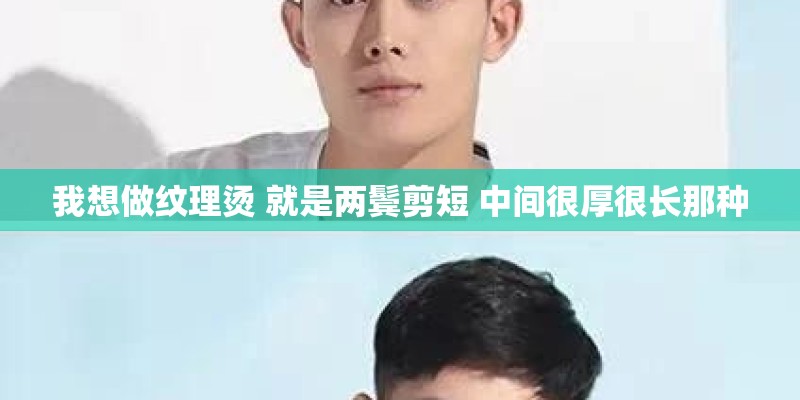 我想做纹理烫 就是两鬓剪短 中间很厚很长那种