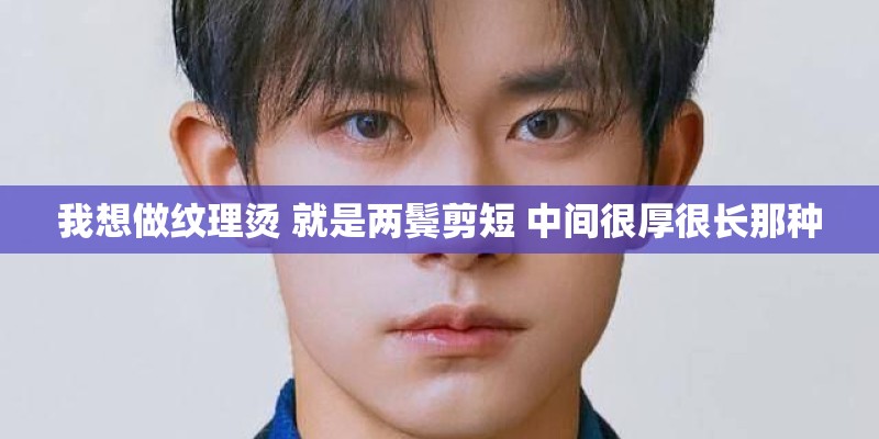 我想做纹理烫 就是两鬓剪短 中间很厚很长那种