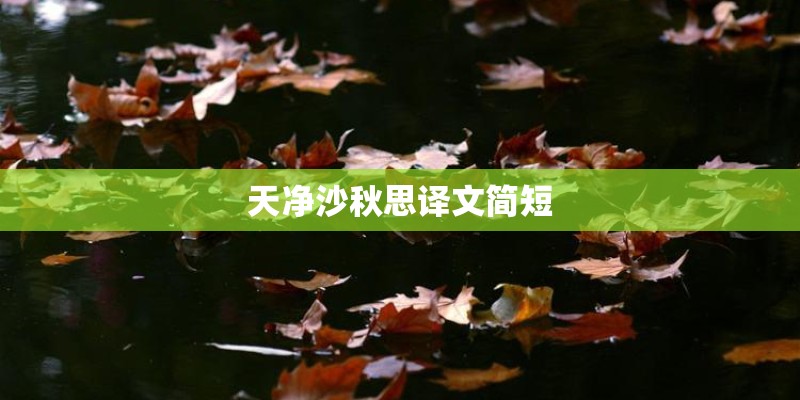 天净沙秋思译文简短