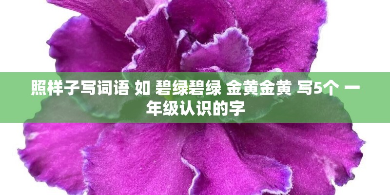 照样子写词语 如 碧绿碧绿 金黄金黄 写5个 一年级认识的字