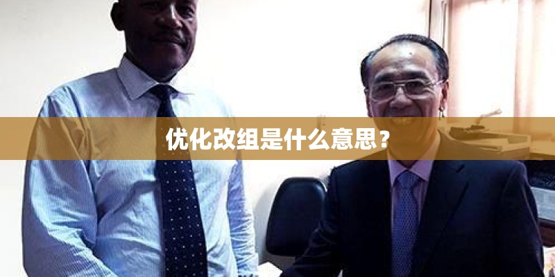 优化改组是什么意思？