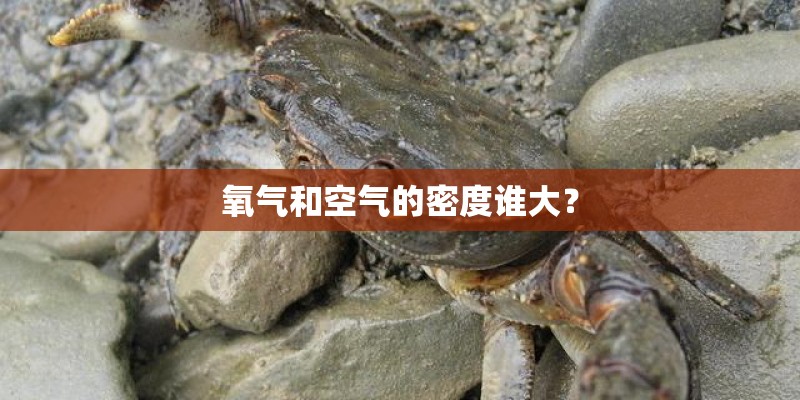 氧气和空气的密度谁大？