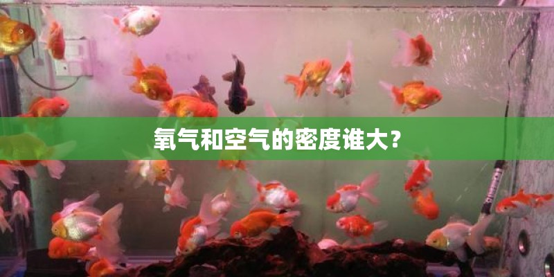 氧气和空气的密度谁大？