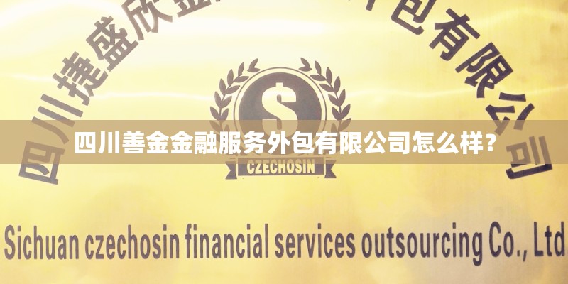 四川善金金融服务外包有限公司怎么样？