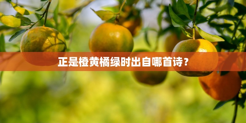 正是橙黄橘绿时出自哪首诗？