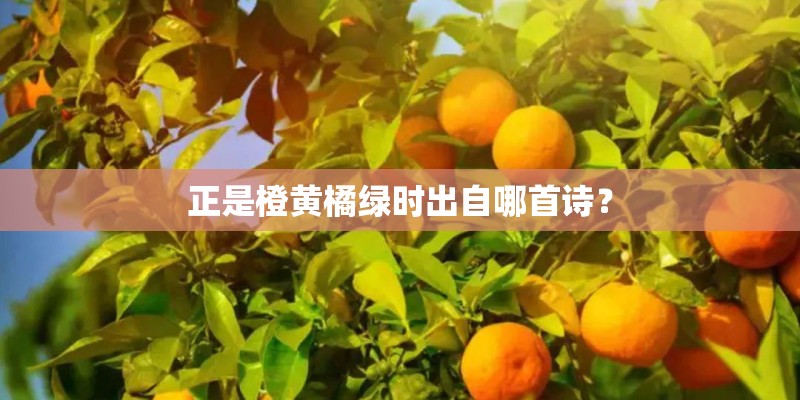 正是橙黄橘绿时出自哪首诗？