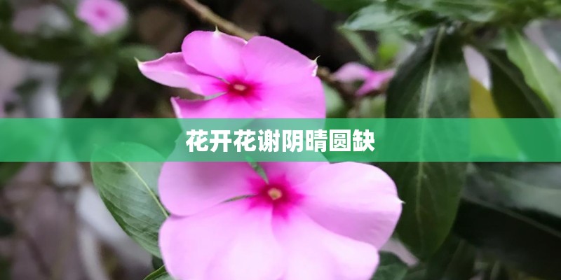 花开花谢阴晴圆缺