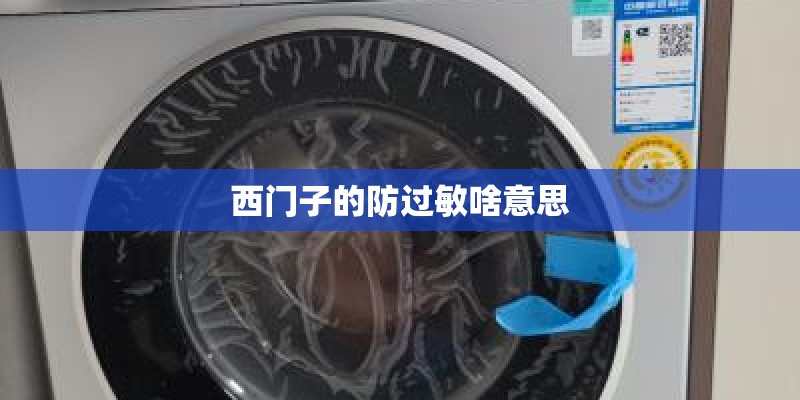 西门子的防过敏啥意思