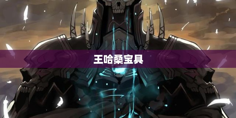 王哈桑宝具
