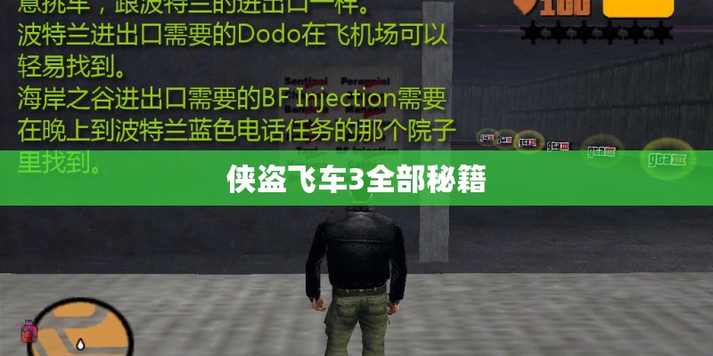侠盗飞车3全部秘籍