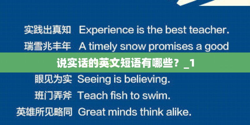 说实话的英文短语有哪些？_1