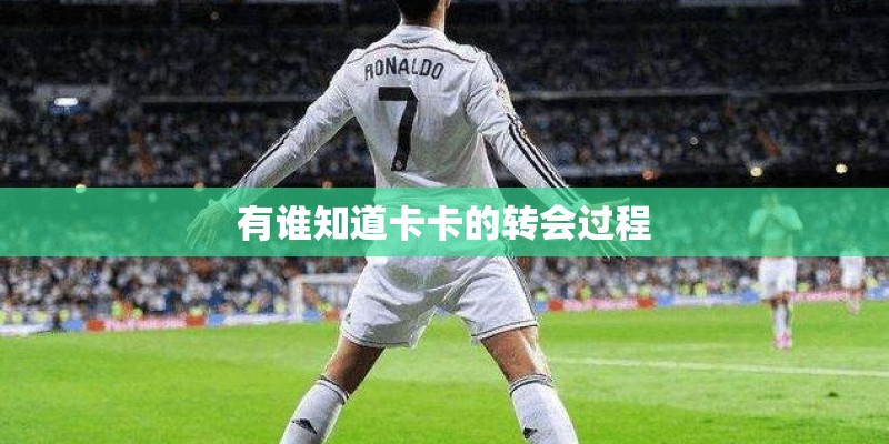 有谁知道卡卡的转会过程