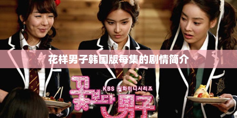 花样男子韩国版每集的剧情简介