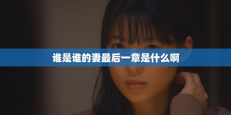 谁是谁的妻最后一章是什么啊