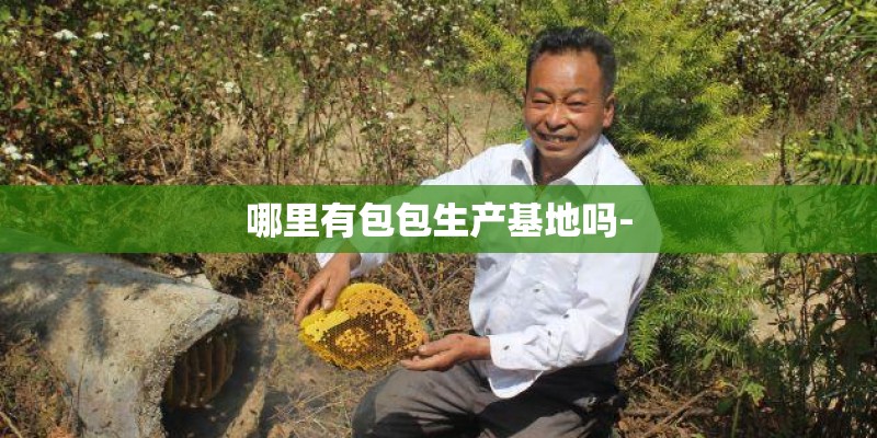 哪里有包包生产基地吗- 哪里有包包生产基地吗-