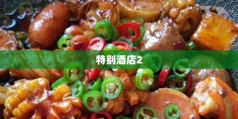 特别酒店2 特别酒店2