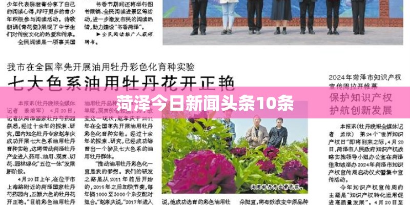 菏泽今日新闻头条10条