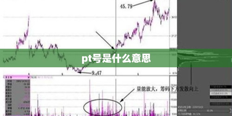 pt号是什么意思