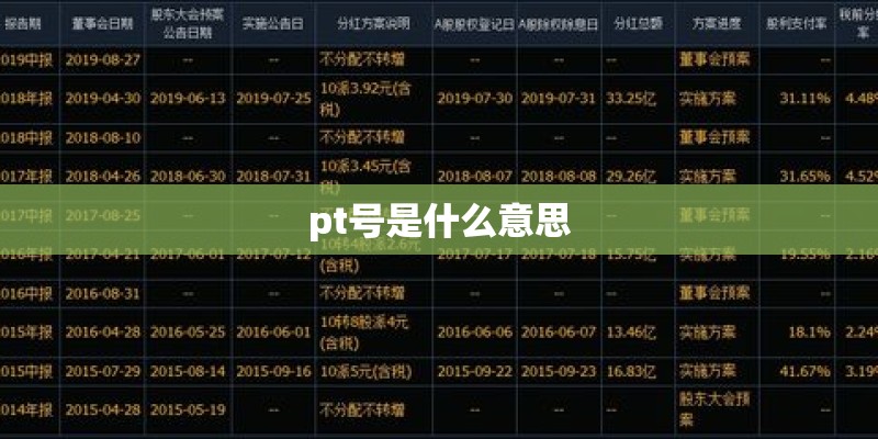 pt号是什么意思