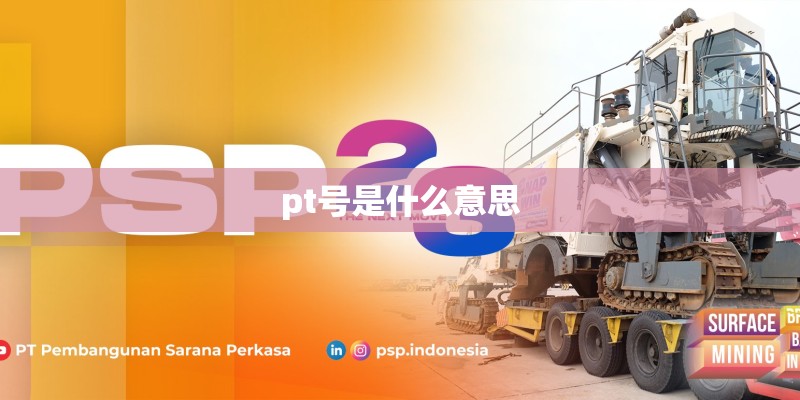 pt号是什么意思