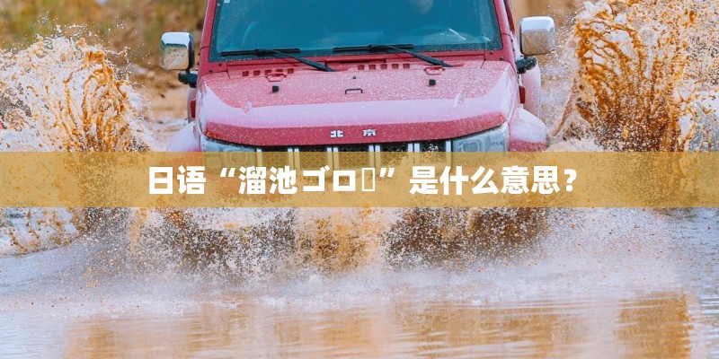 日语“溜池ゴロー”是什么意思？