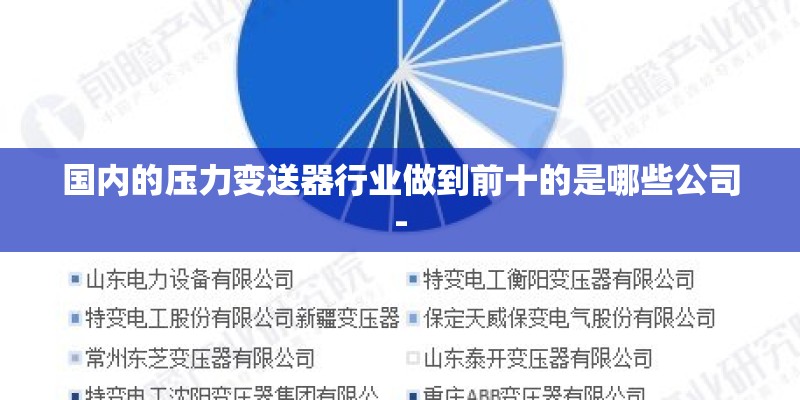 国内的压力变送器行业做到前十的是哪些公司-