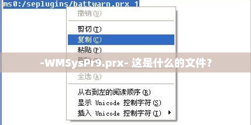 -WMSysPr9.prx- 这是什么的文件？