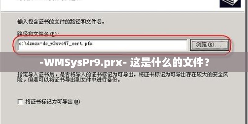 -WMSysPr9.prx- 这是什么的文件？