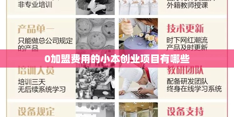 0加盟费用的小本创业项目有哪些