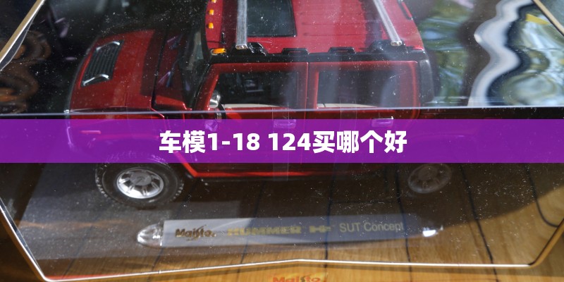 车模1-18 124买哪个好 车模1-18 124买哪个好