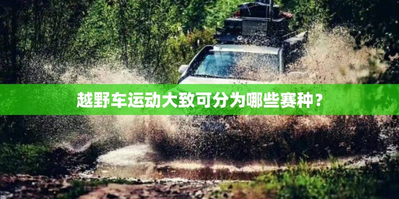 越野车运动大致可分为哪些赛种？