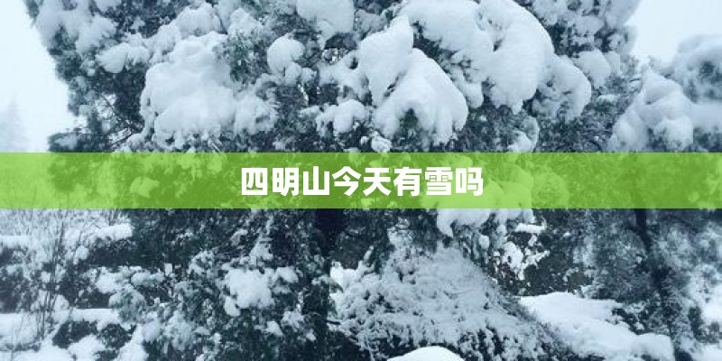 四明山今天有雪吗 四明山今天有雪吗